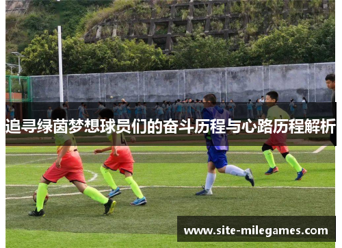 追寻绿茵梦想球员们的奋斗历程与心路历程解析