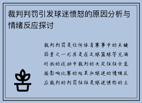 裁判判罚引发球迷愤怒的原因分析与情绪反应探讨