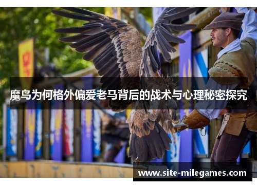 魔鸟为何格外偏爱老马背后的战术与心理秘密探究
